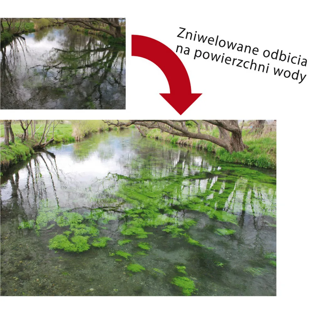 Filtr polaryzacyjny kołowy Marumi DHG Circular PL 62 mm